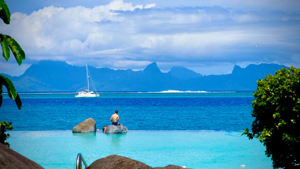 Discover the Allure of Tahiti: Unveiling the Must-Visit Pearl Farms