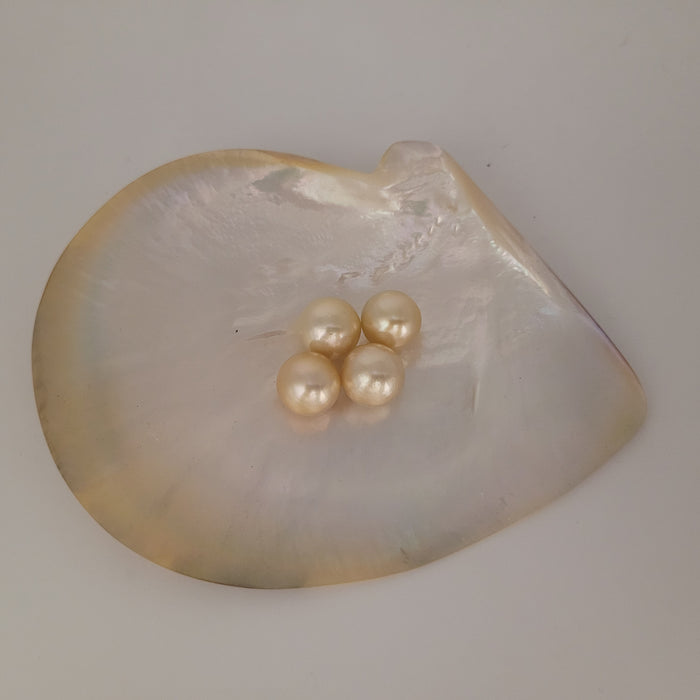 Golden South Sea Pearls 13 mm Round AAA Quality